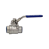 Ball Valve Lever Handle F&F 2 Piece Stainless 1/4"